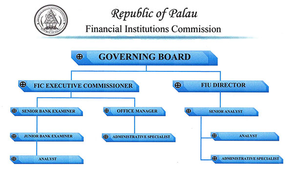 Organizational Structure of the F.I.C